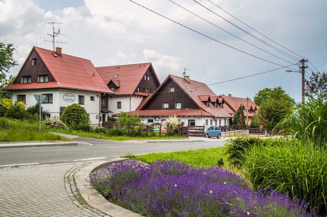 Hotel U Lip Trojanovice Френштат-под-Радгоштєм Екстер'єр фото